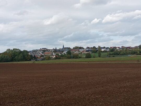 Entretien des espaces verts